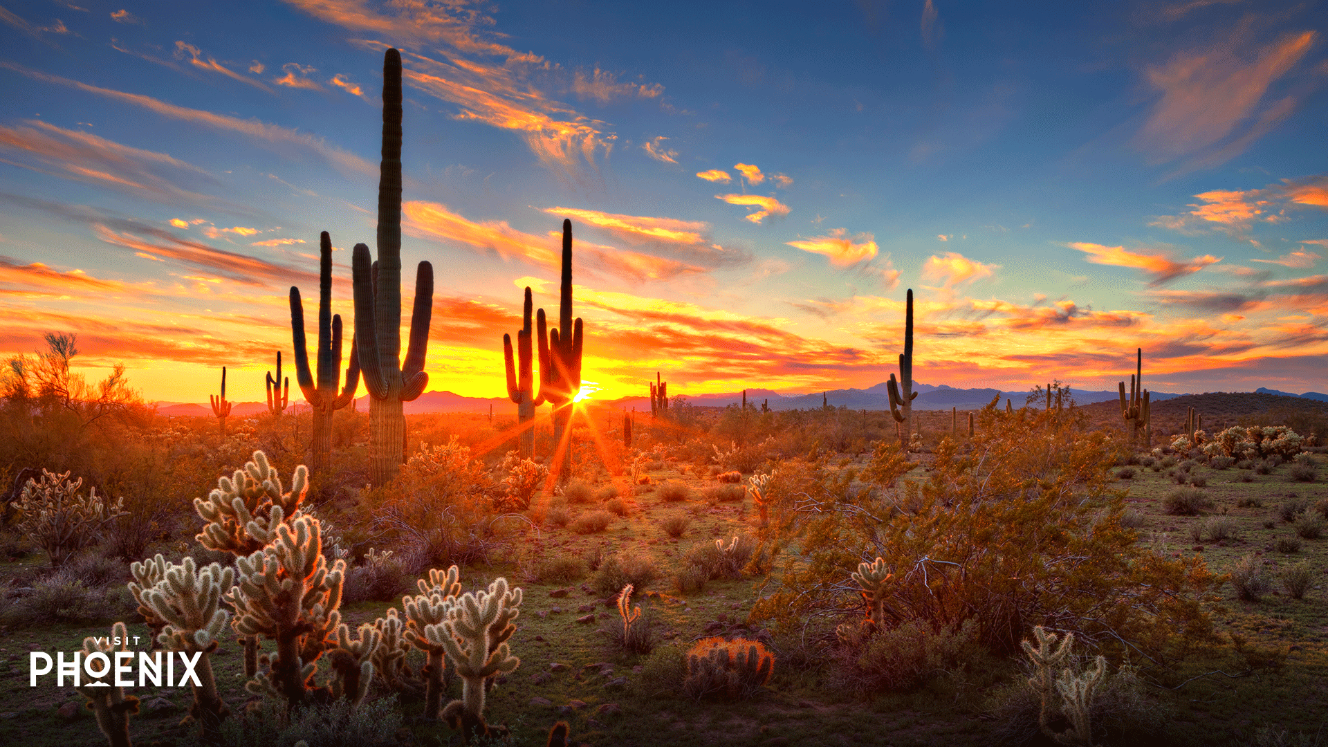 Phoenix Az Wallpapers