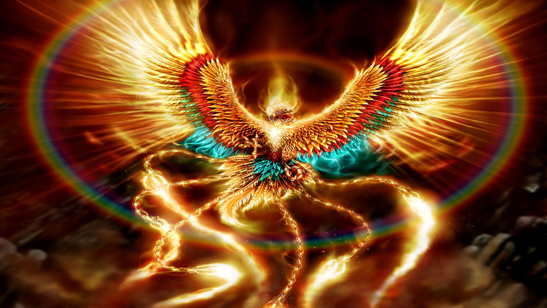 Phoenix Bird Images Free Download Wallpapers