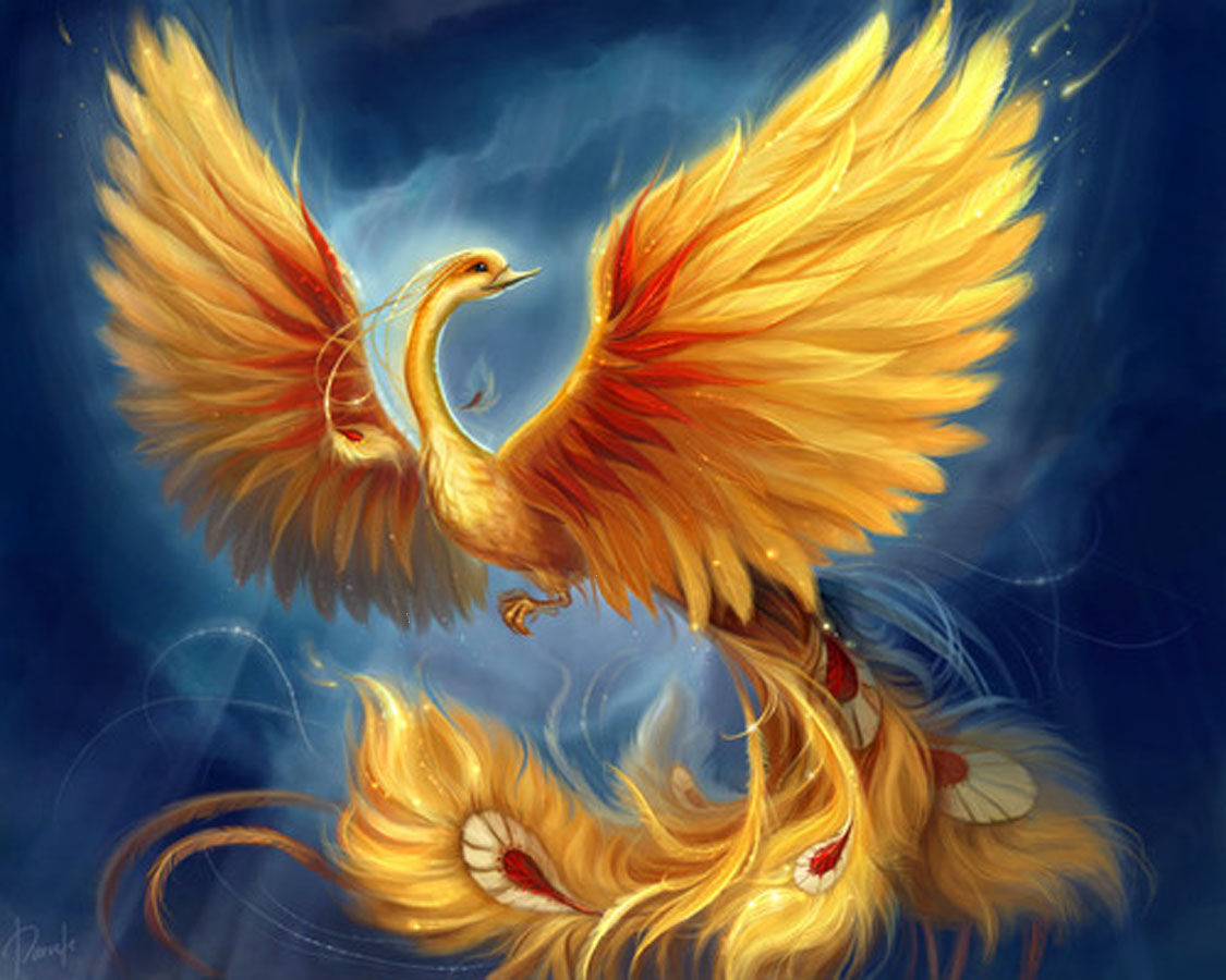 Phoenix Bird Images Free Download Wallpapers