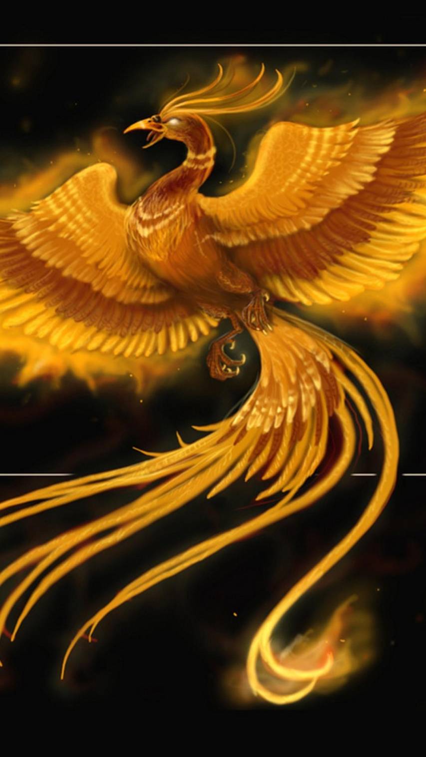 Phoenix Bird Images Free Download Wallpapers