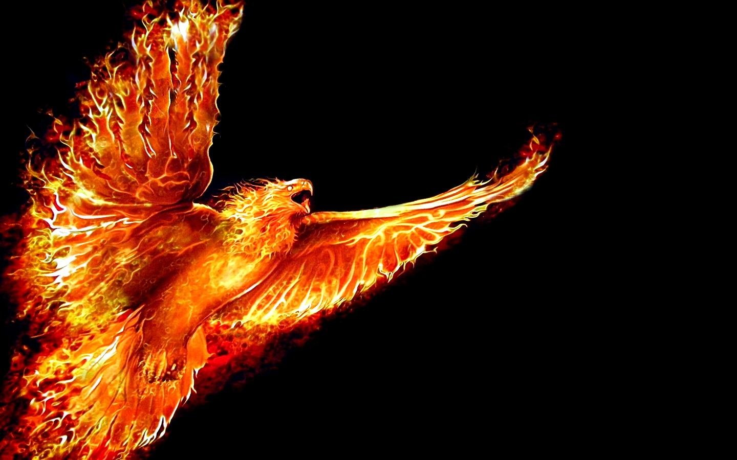 Phoenix Bird Images Free Download Wallpapers