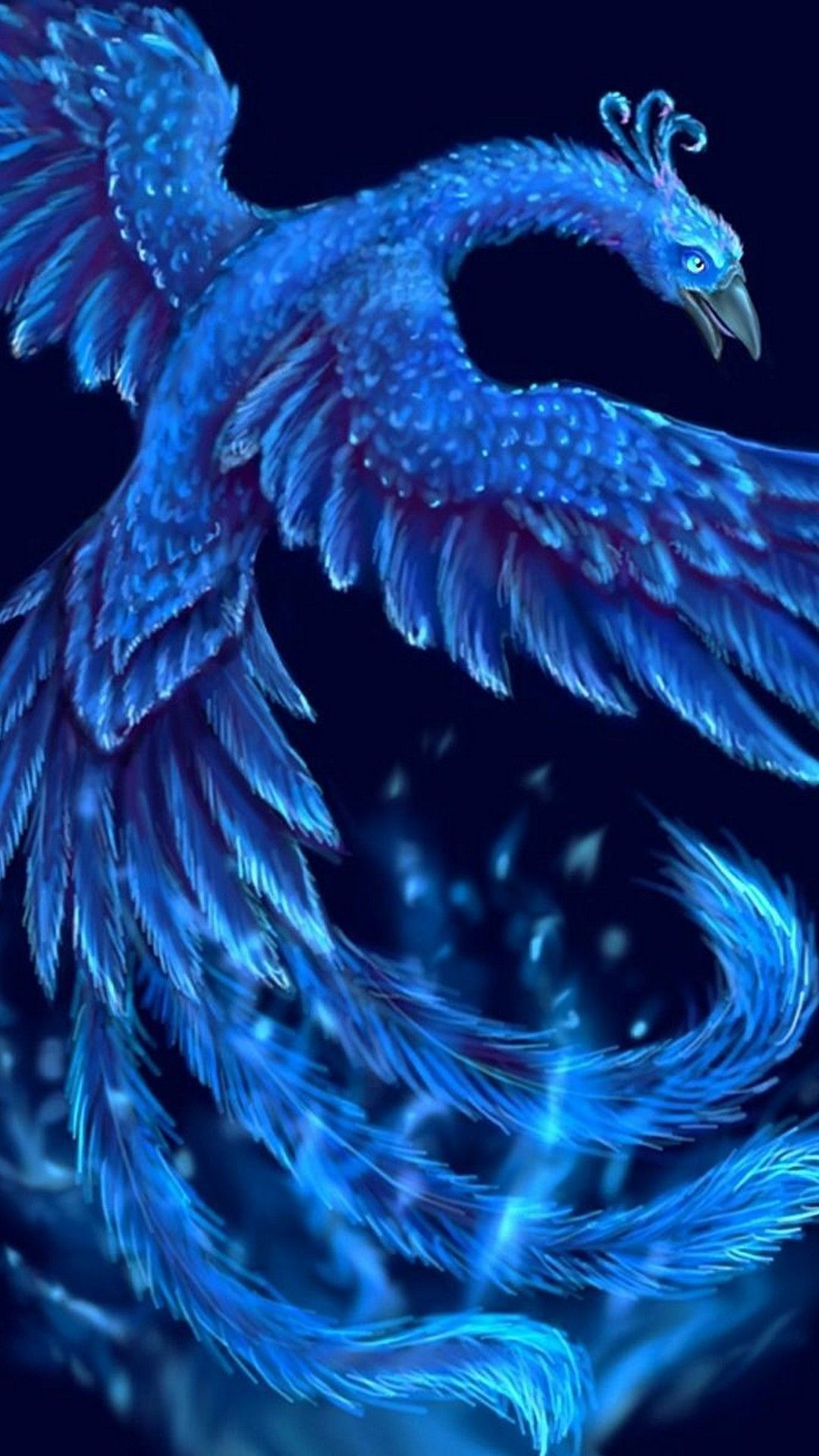 Phoenix Bird Images Free Download Wallpapers