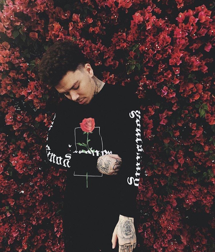 Phora Wallpapers