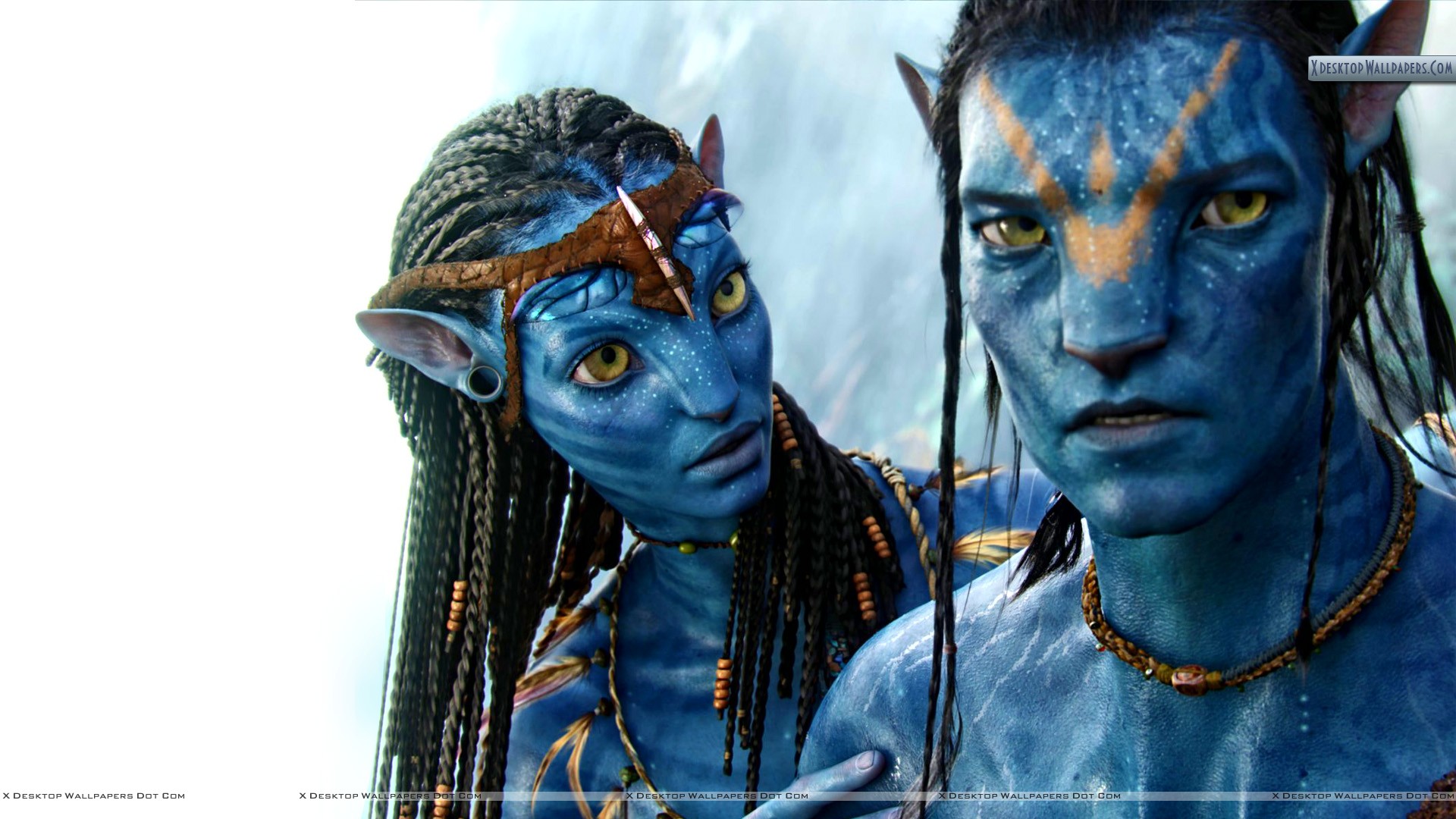 Pictures Of Neytiri From Avatar Wallpapers