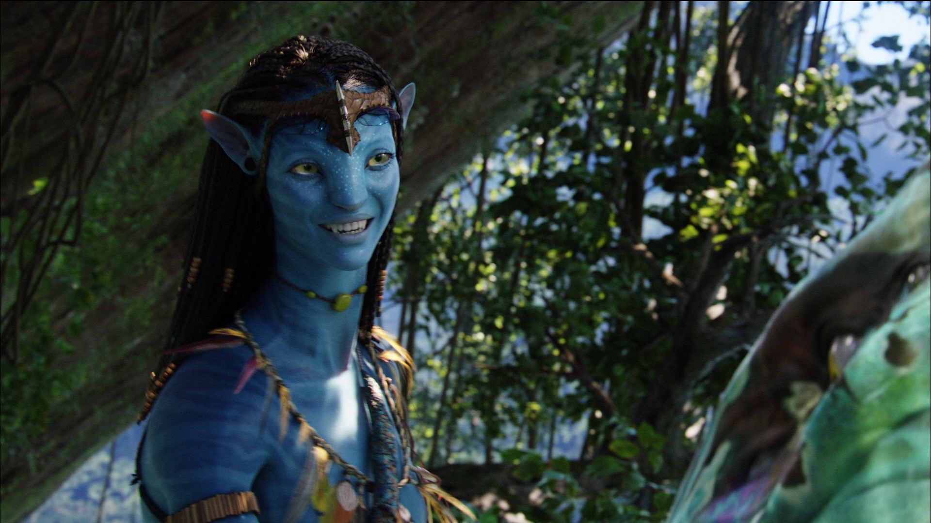 Pictures Of Neytiri From Avatar Wallpapers