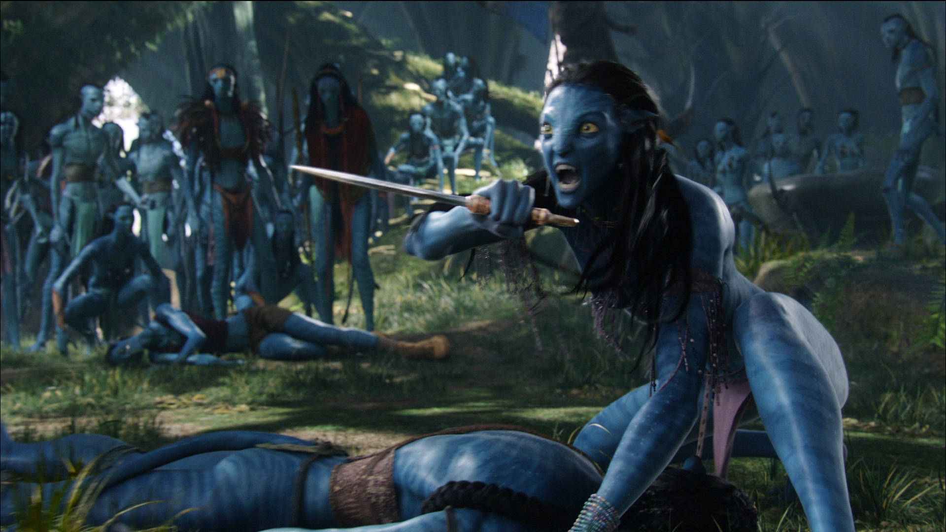 Pictures Of Neytiri From Avatar Wallpapers