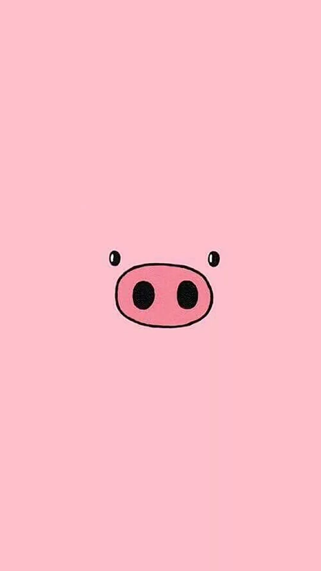 Pig Iphone Wallpapers