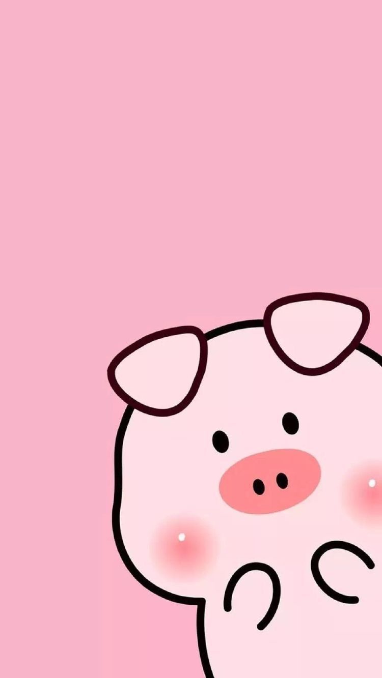 Pig Iphone Wallpapers