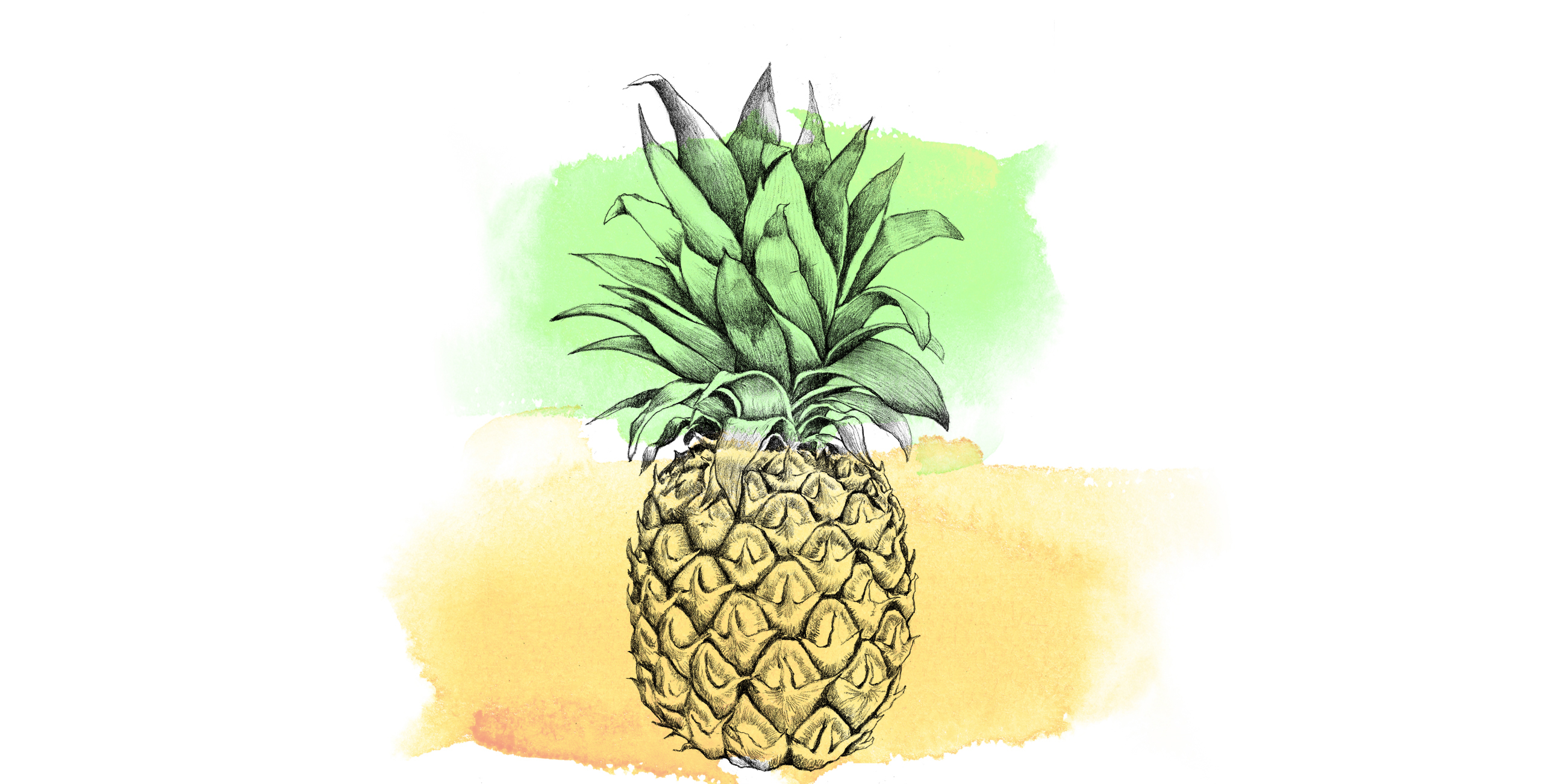 Pineapple Desktop Wallpapers