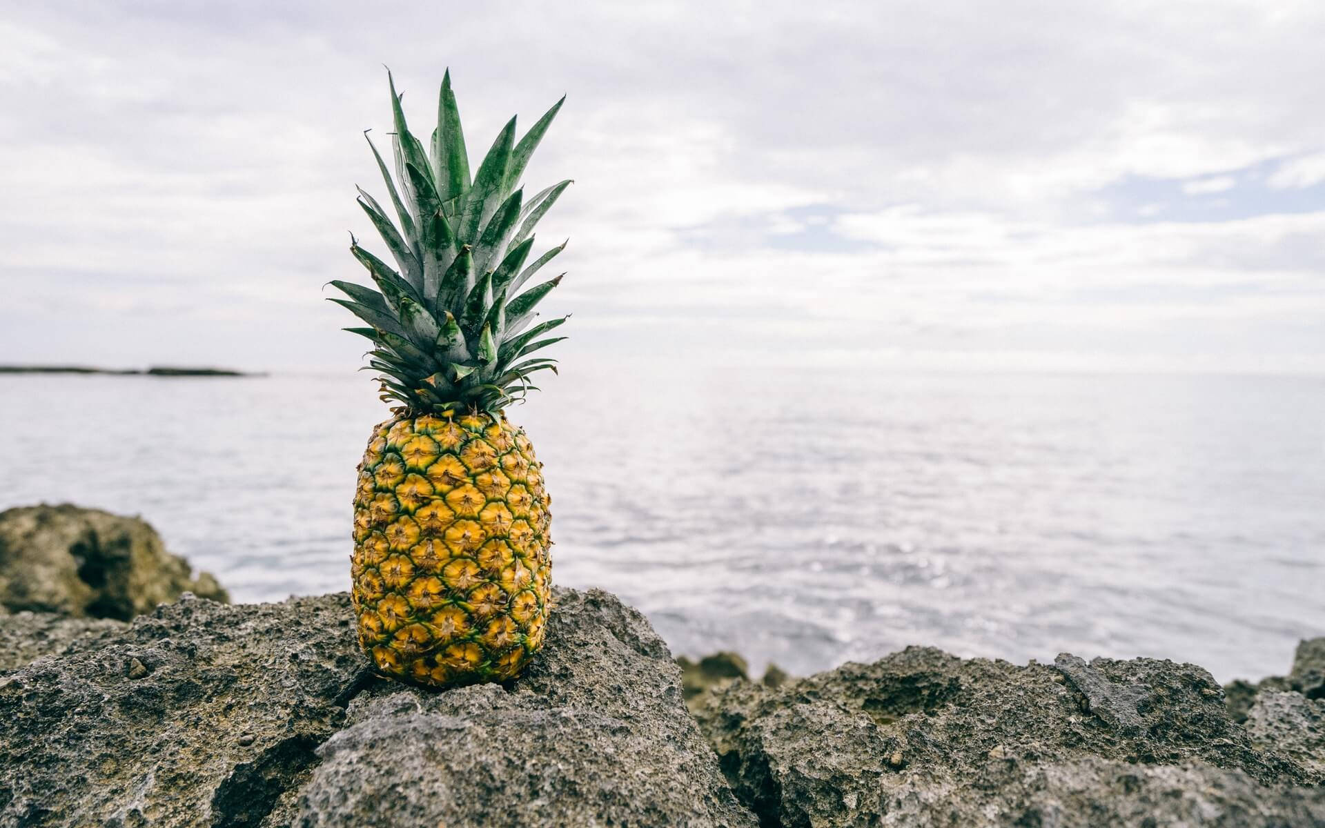 Pineapple Desktop Wallpapers