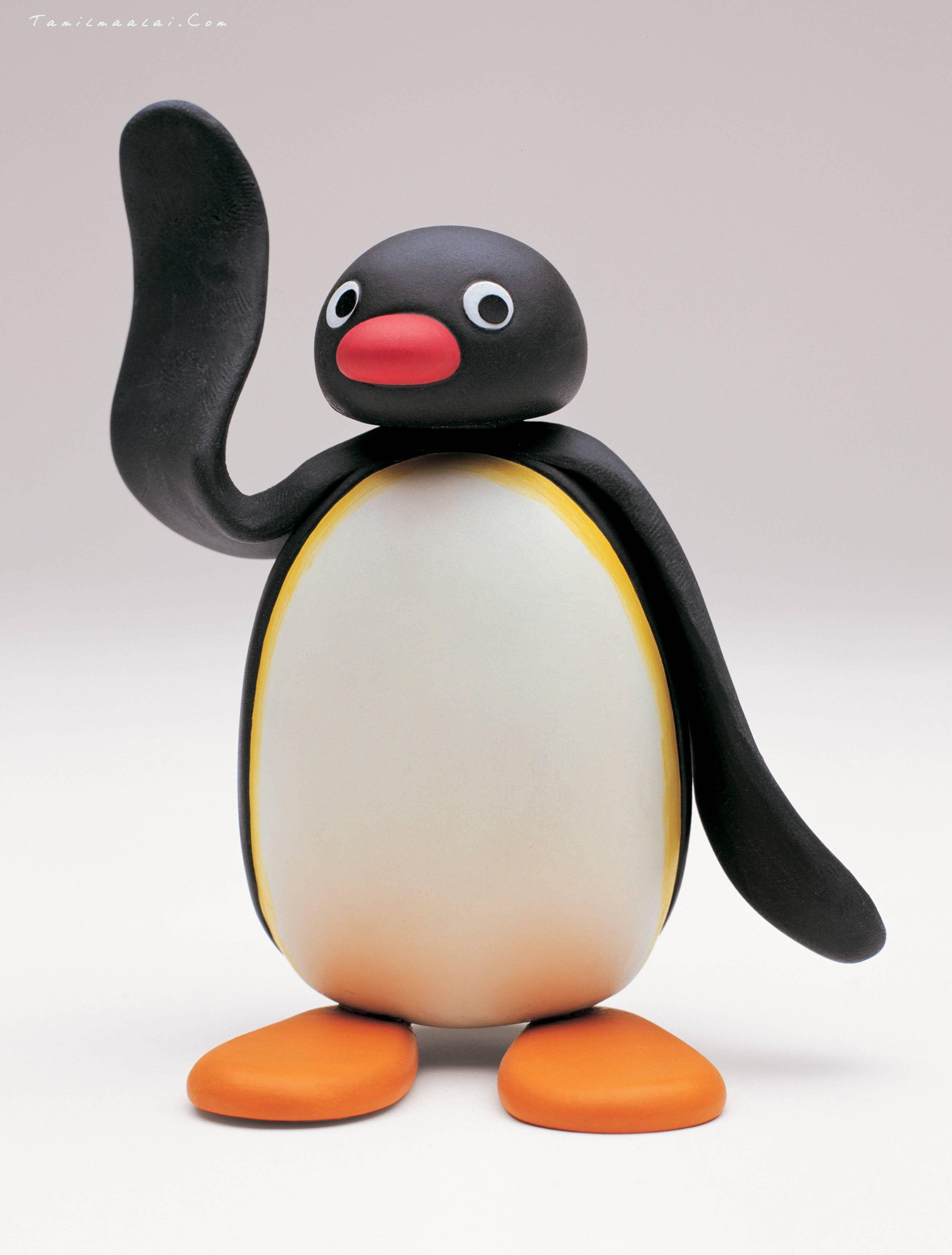 Pingu Wallpapers