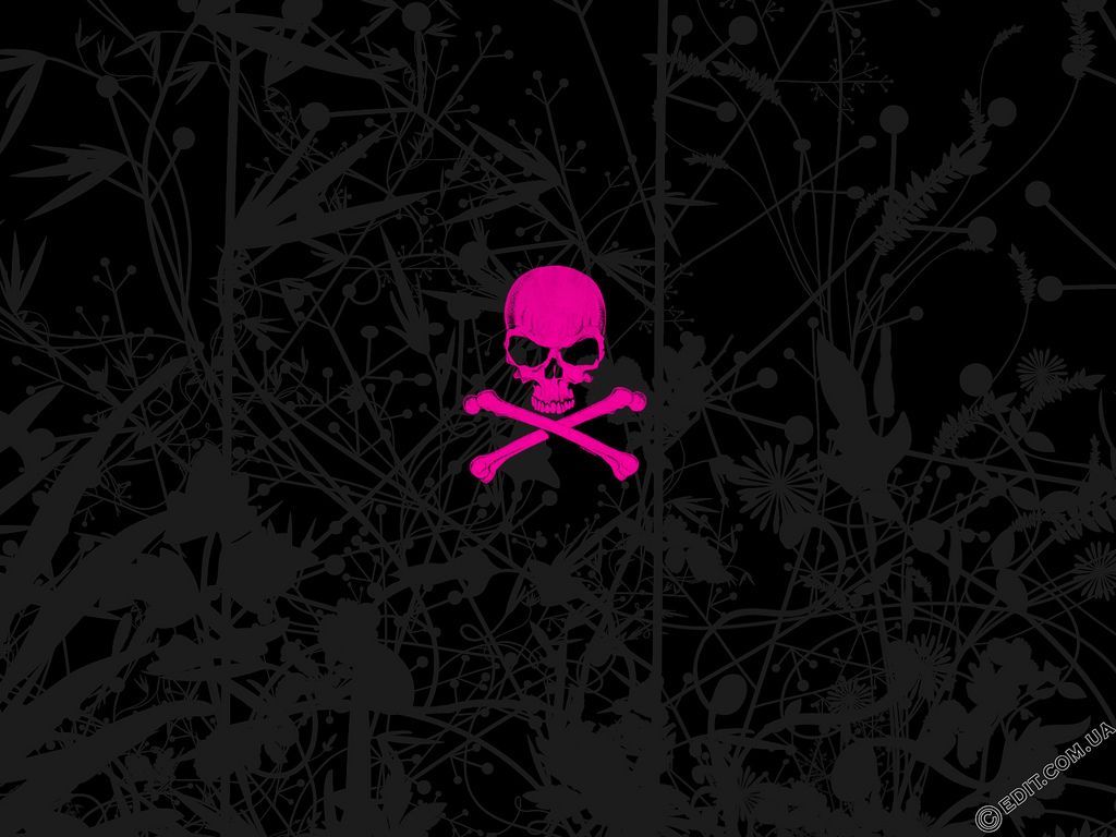 Pink And Black Skulls Wallpapers