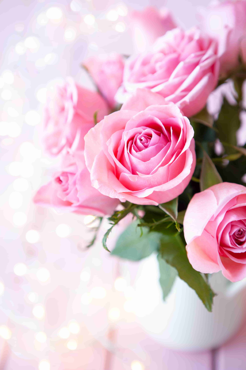 Pink Roses Images Wallpapers