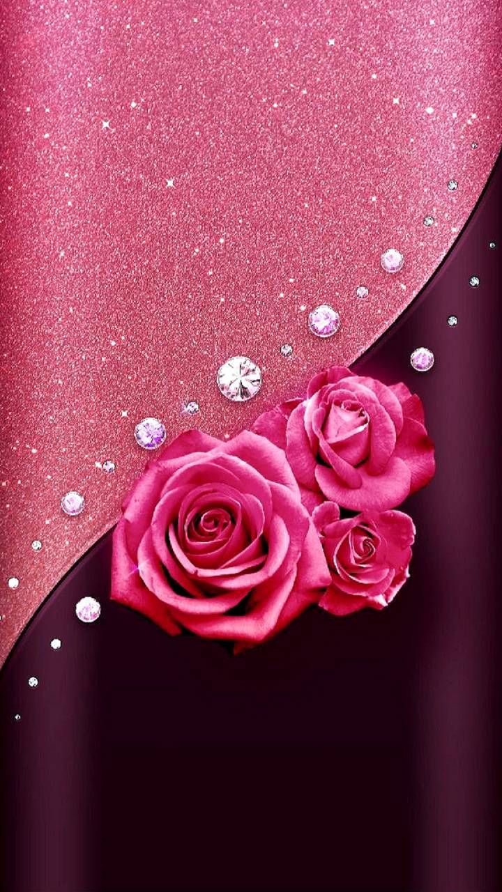 Pink Roses Images Wallpapers