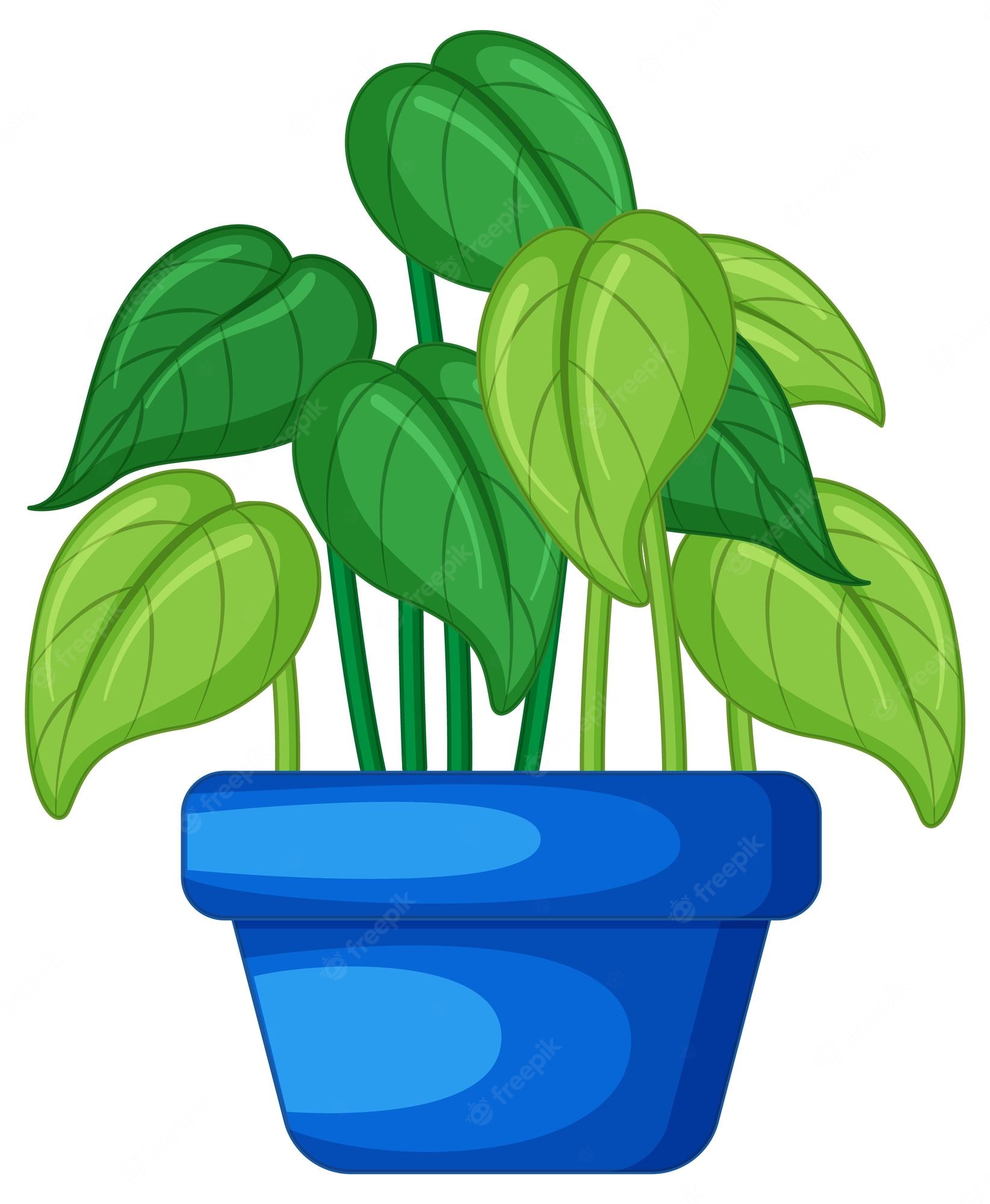 Plant Cartoon Images Wallpapers