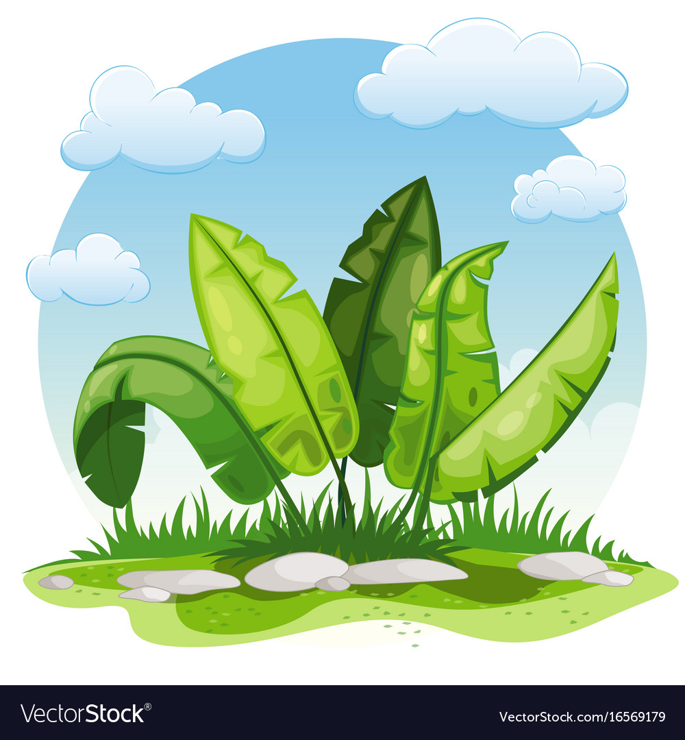 Plant Cartoon Images Wallpapers