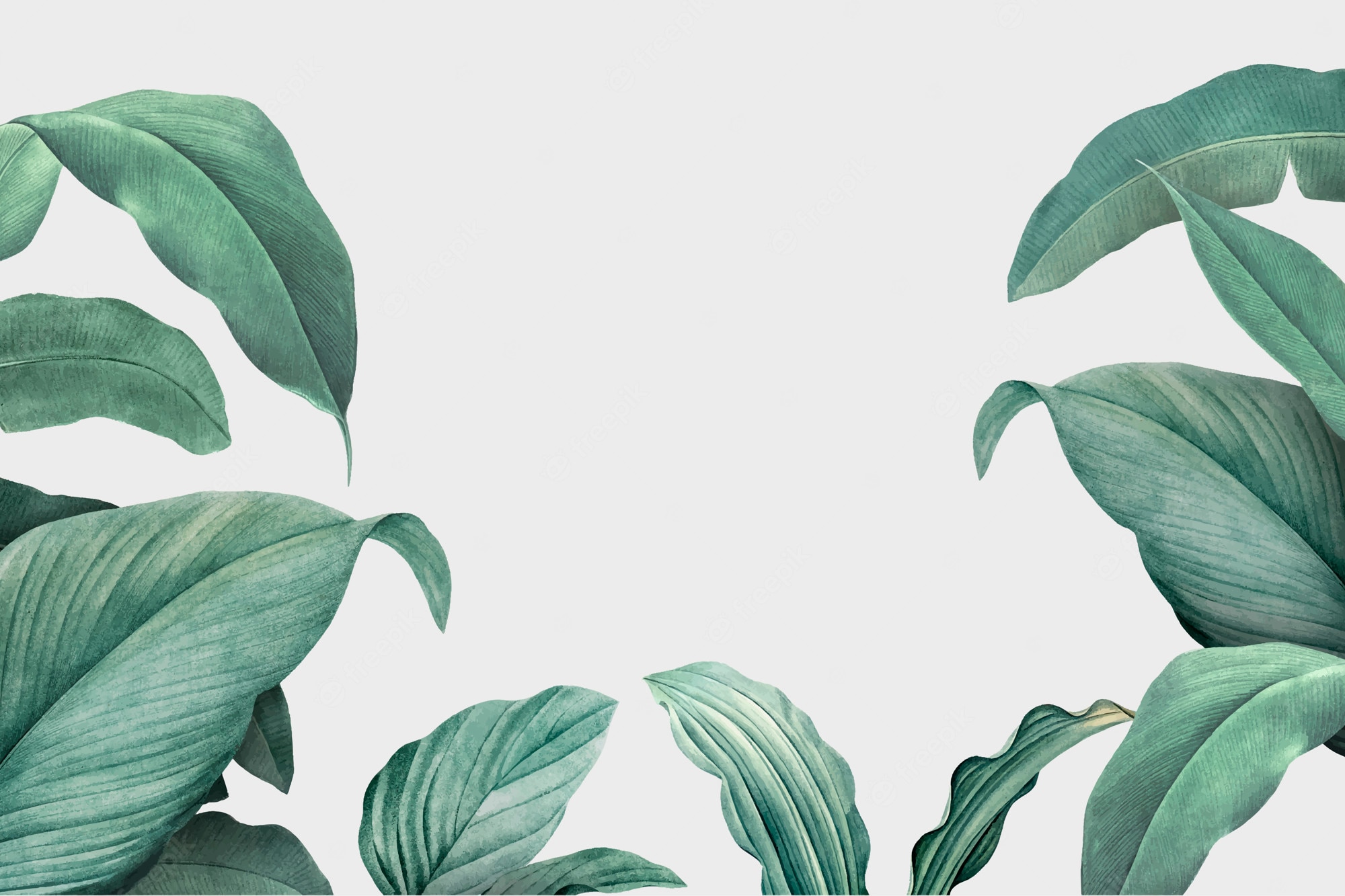 Plant Ipad Wallpapers