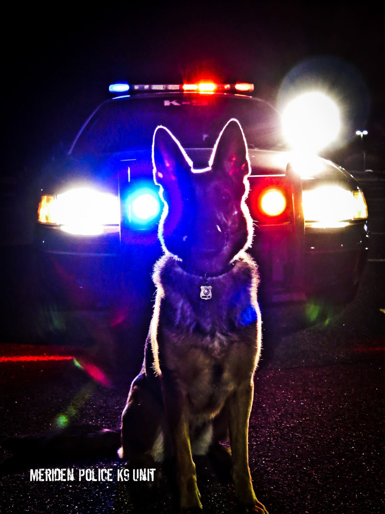 Police K9 Wallpapers