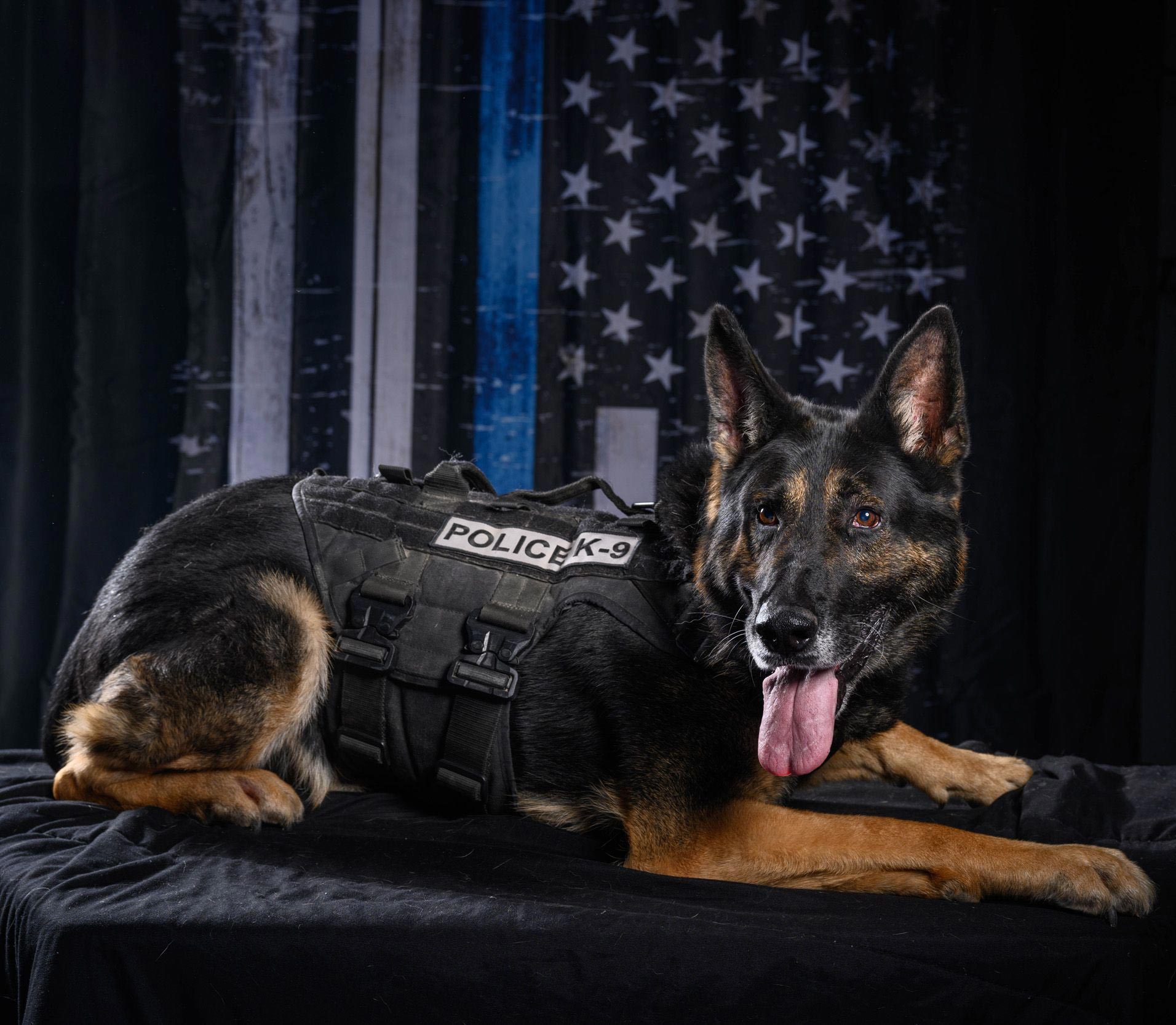 Police K9 Wallpapers