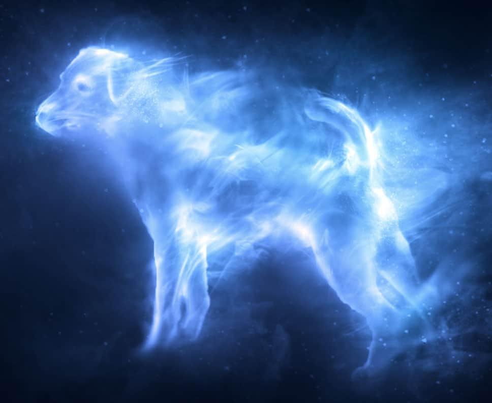 Pottermore Fox Patronus Wallpapers