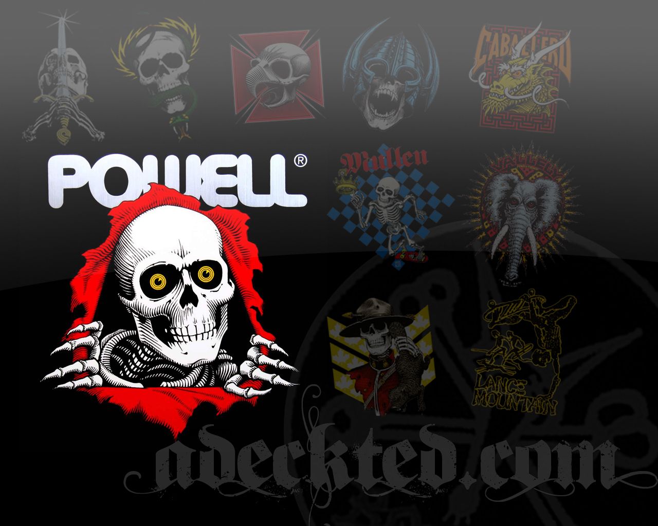 Powell Peralta Wallpapers