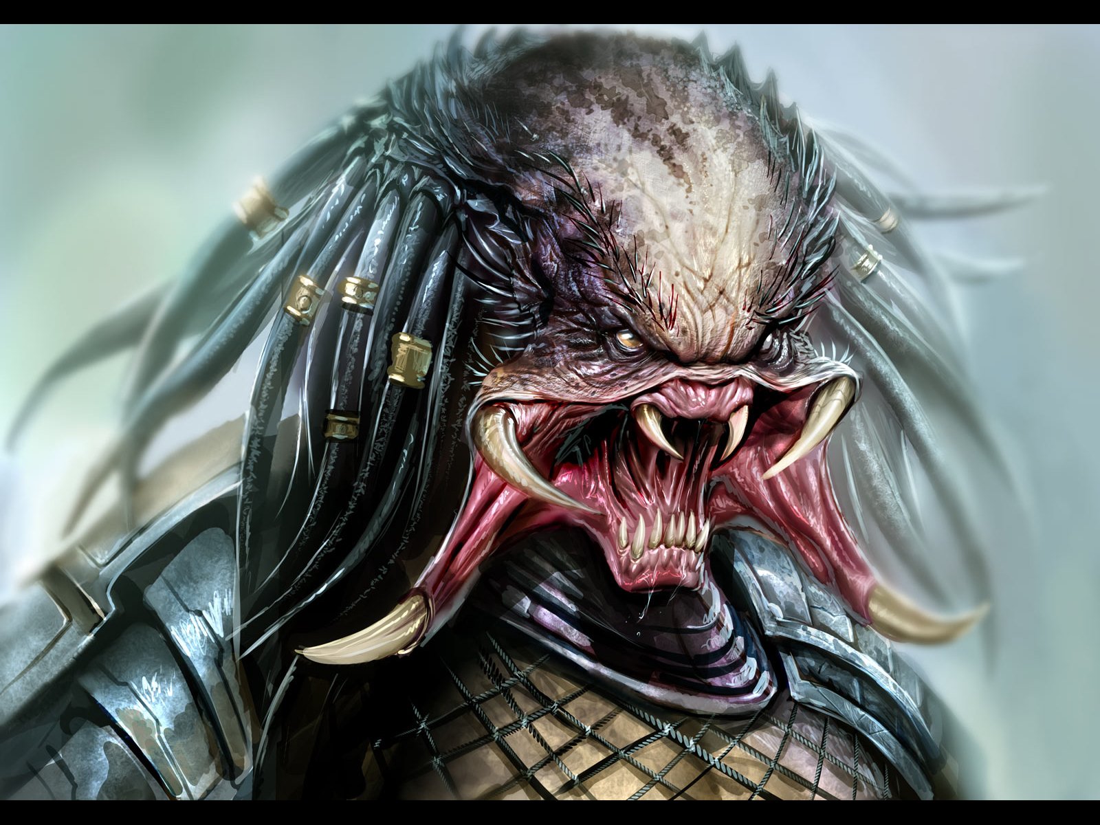 Predator Hd Wallpapers