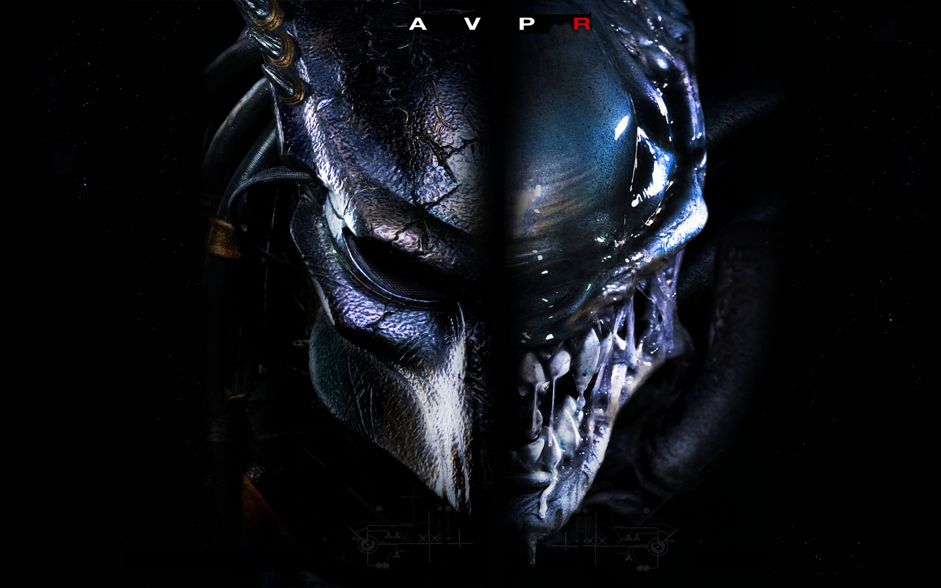 Predator Hd Wallpapers