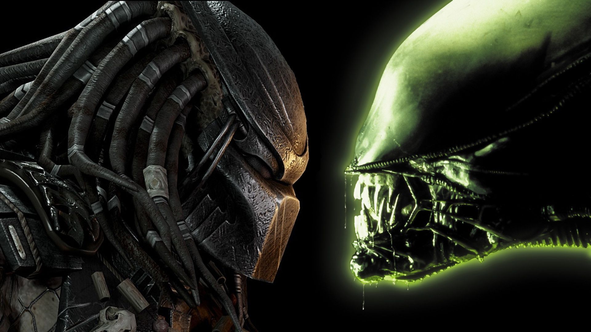 Predator Hd Wallpapers