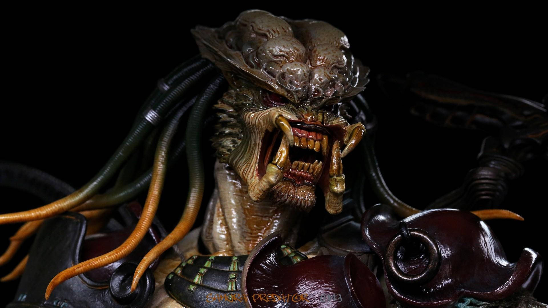 Predator Hd Wallpapers