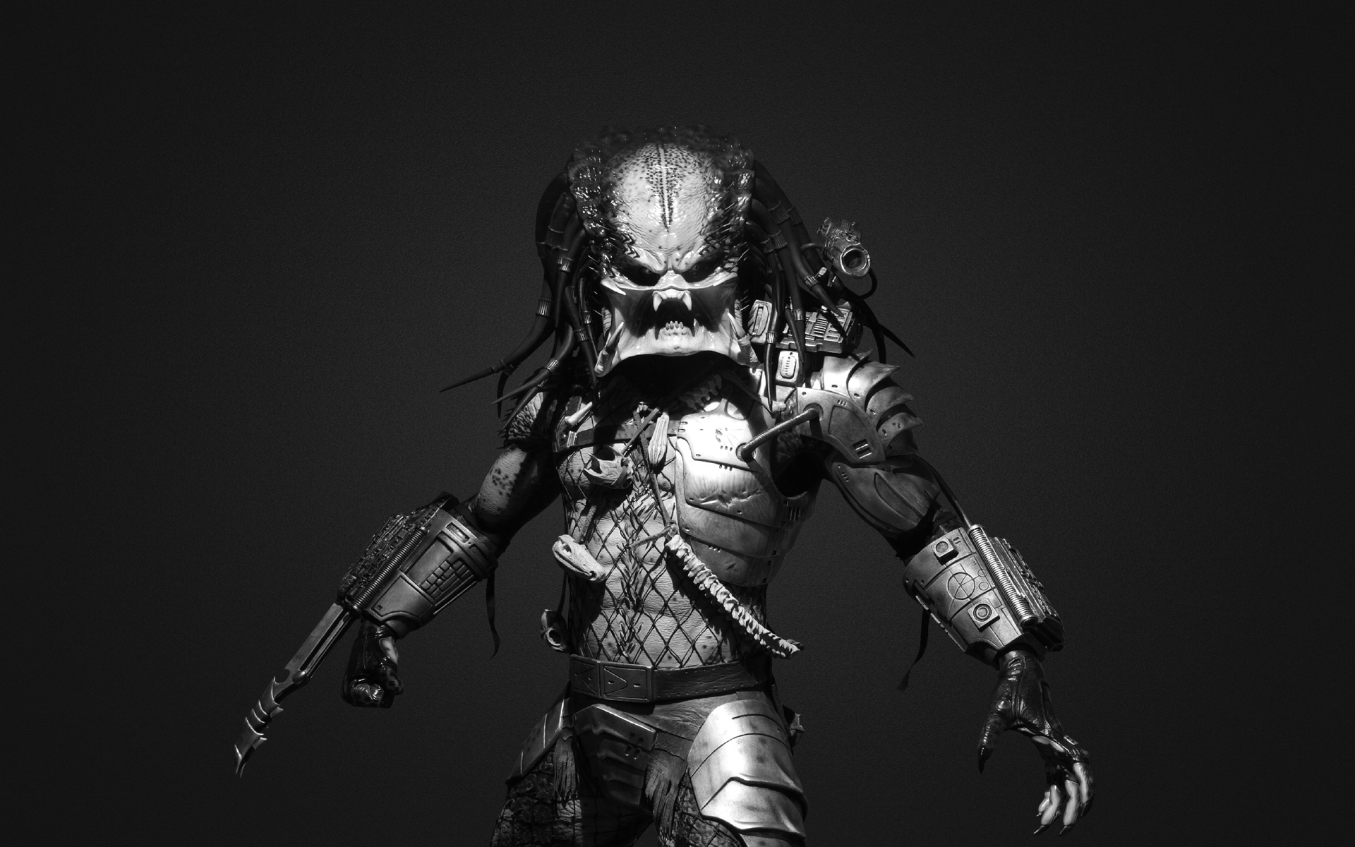 Predator Hd Wallpapers