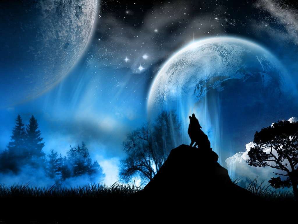 Pretty Wolf Wallpapers