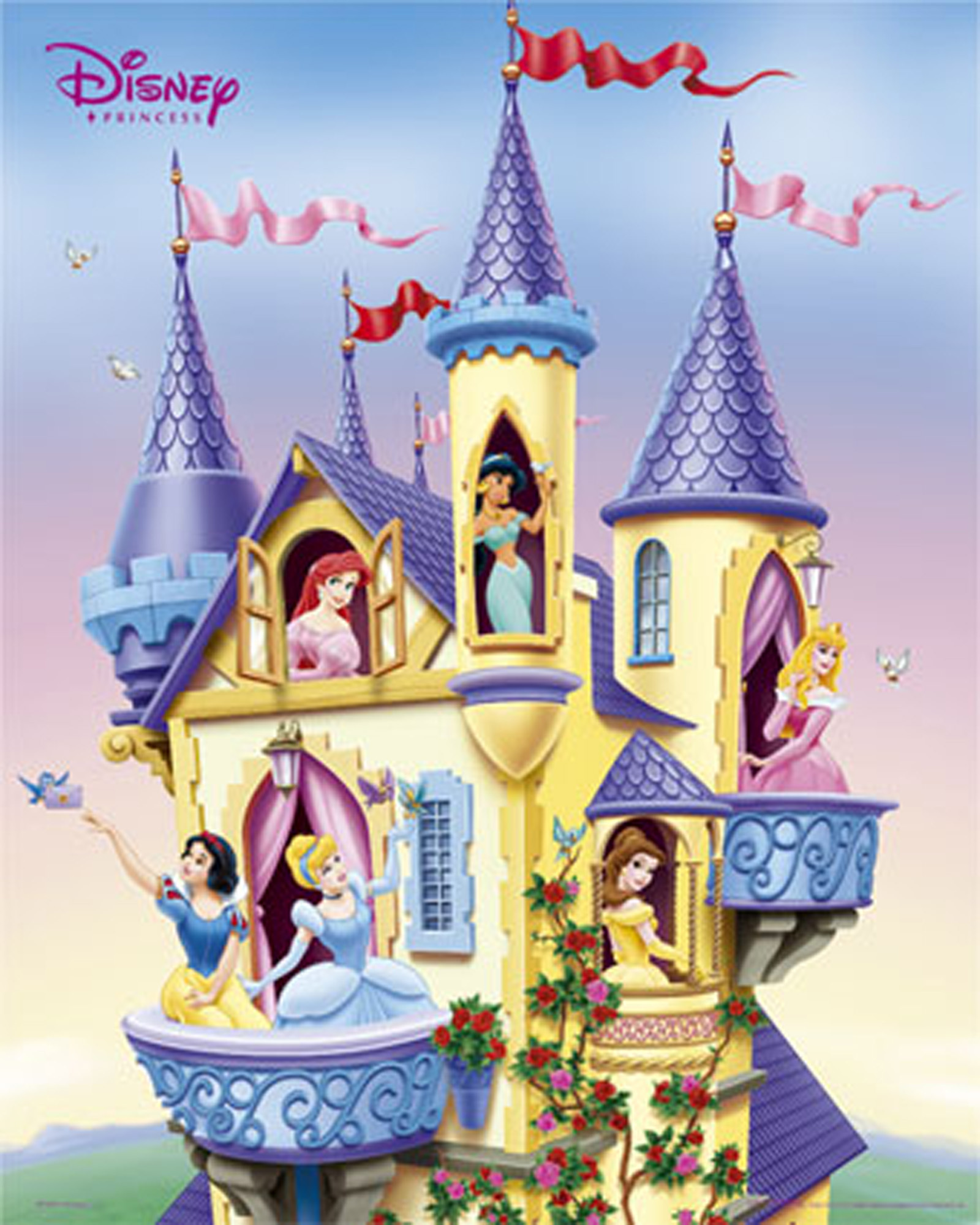 Princess Castle Wallpapers