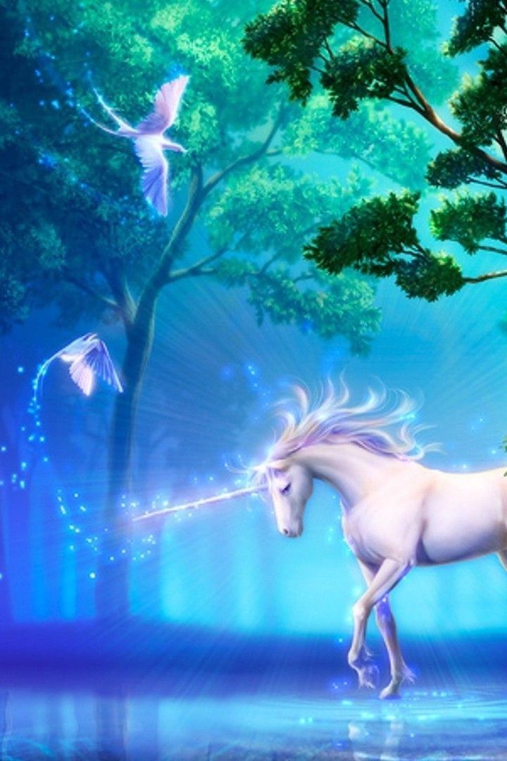 Princess Unicorn Rainbow Magical Sparkle Glitter Unicorn Wallpapers