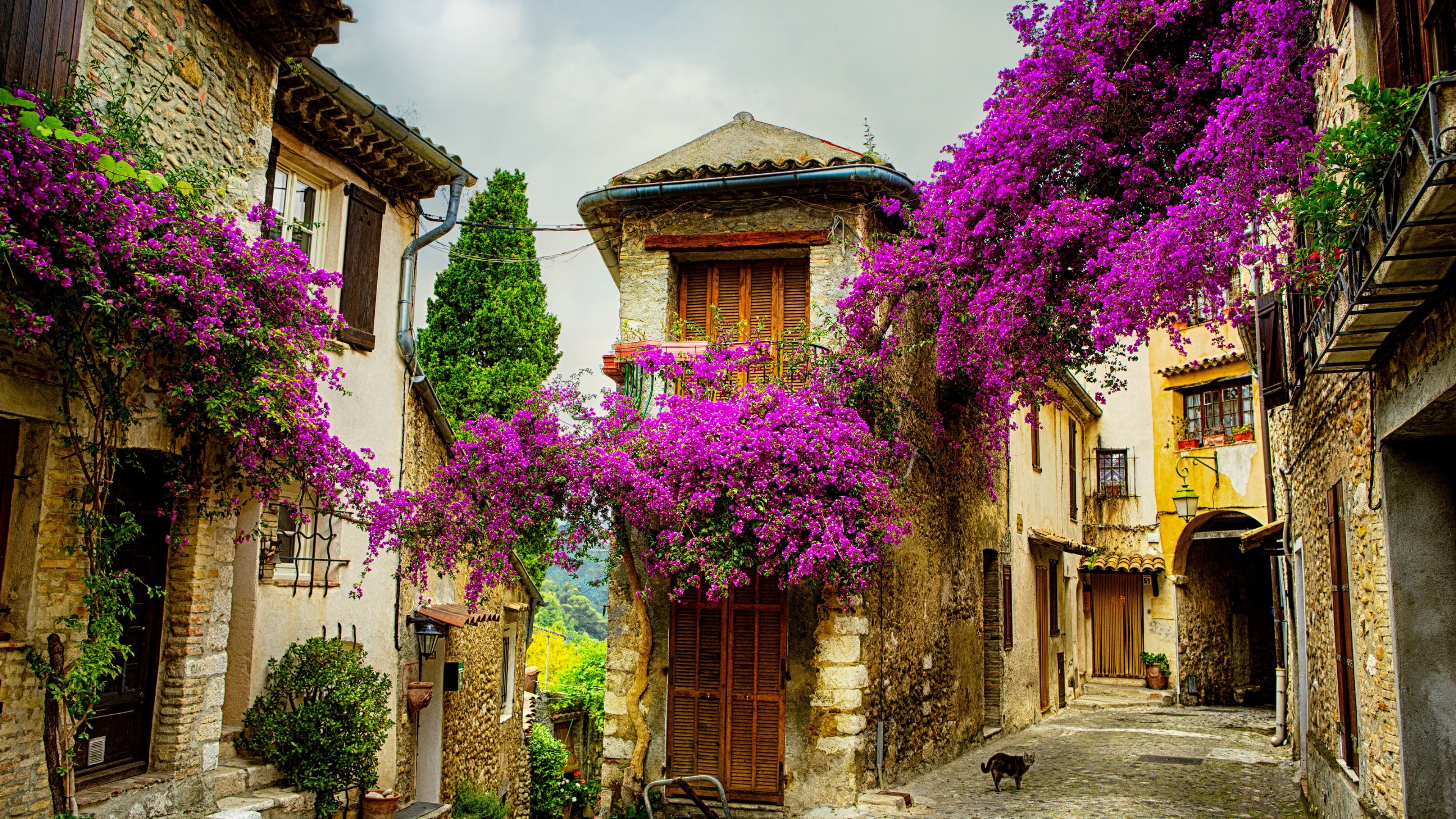 Provence France Wallpapers