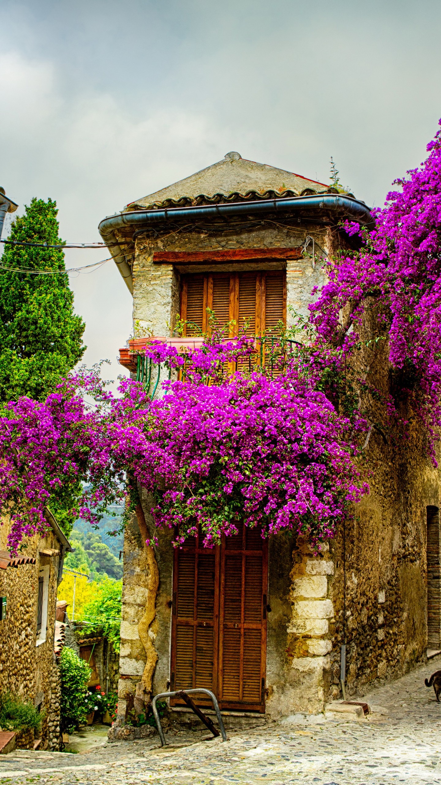 Provence France Wallpapers