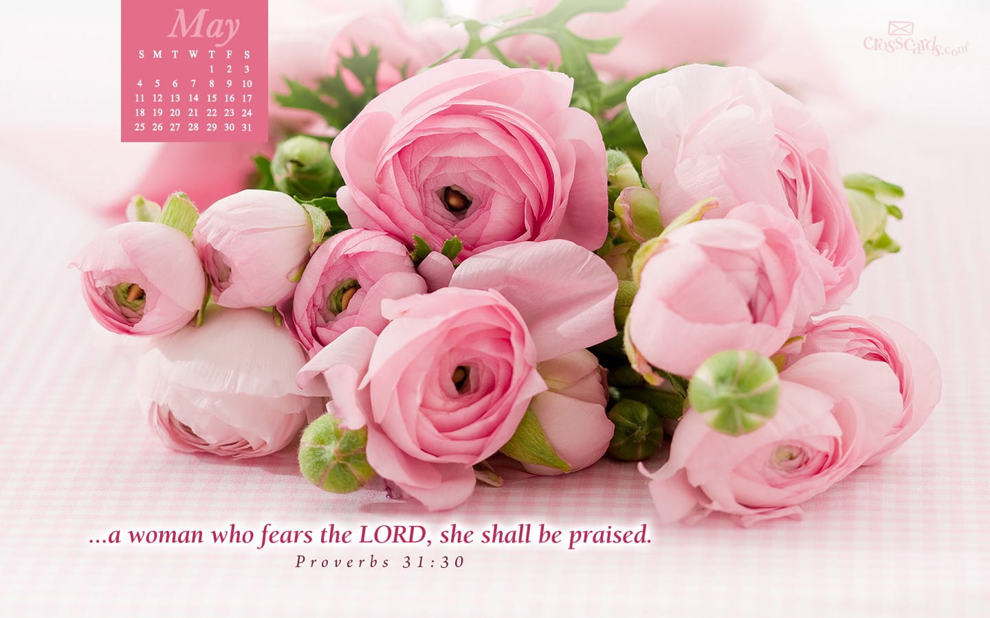 Proverbs 31 25 Wallpapers