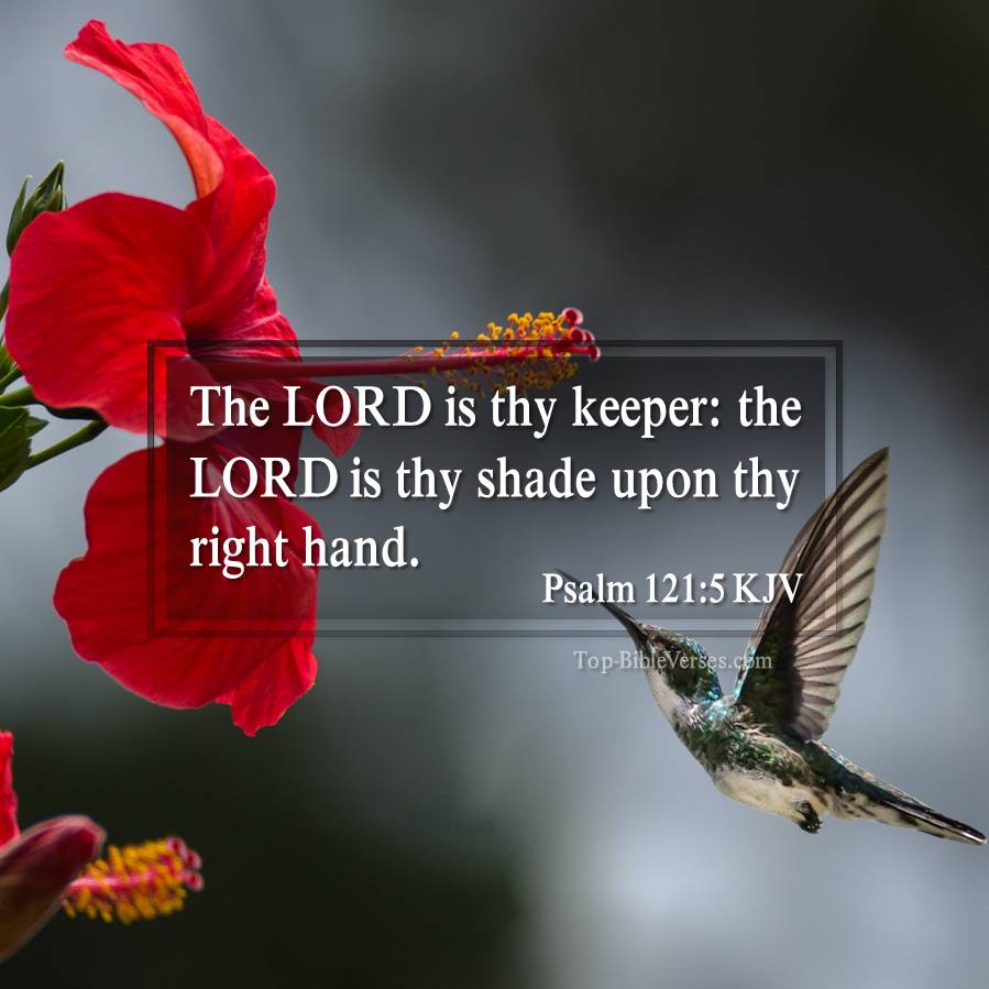 Psalm 121 Images Wallpapers