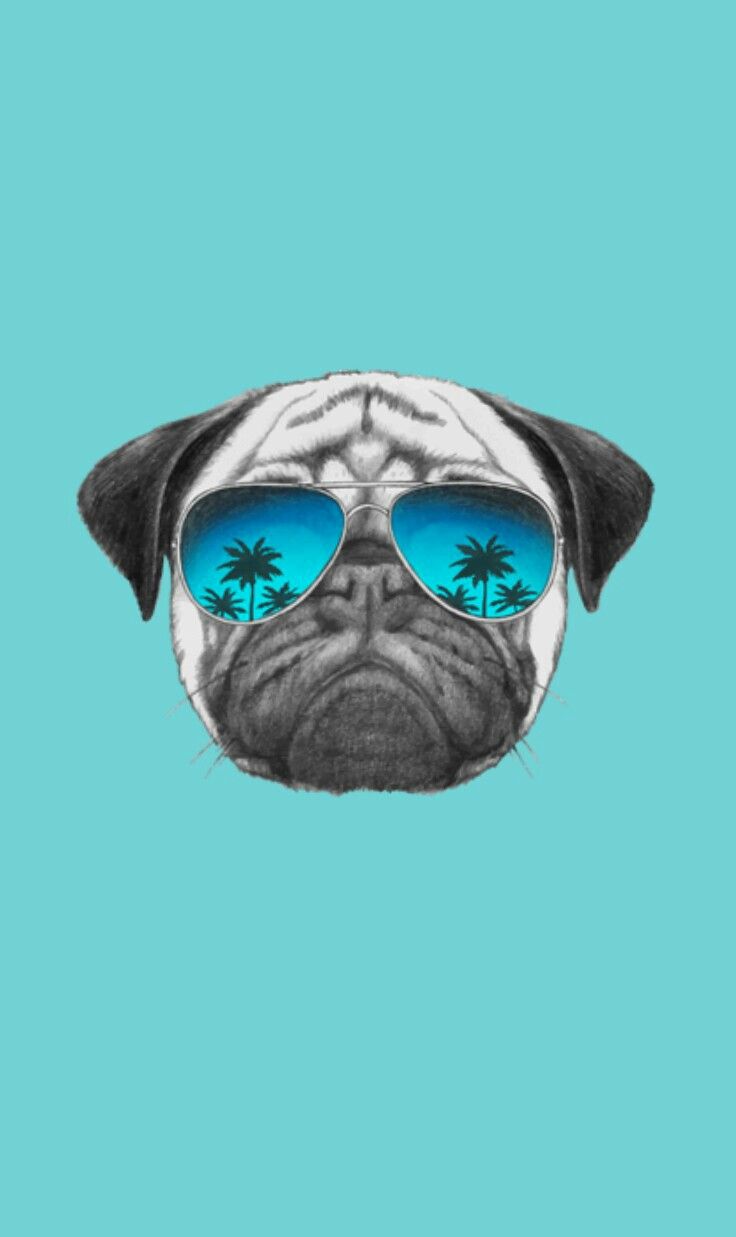 Pug Live Wallpapers