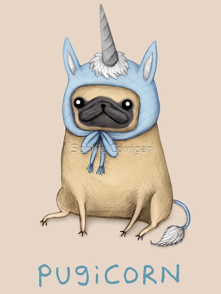 Pugicorn Wallpapers