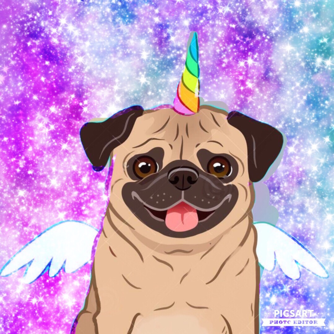 Pugicorn Wallpapers