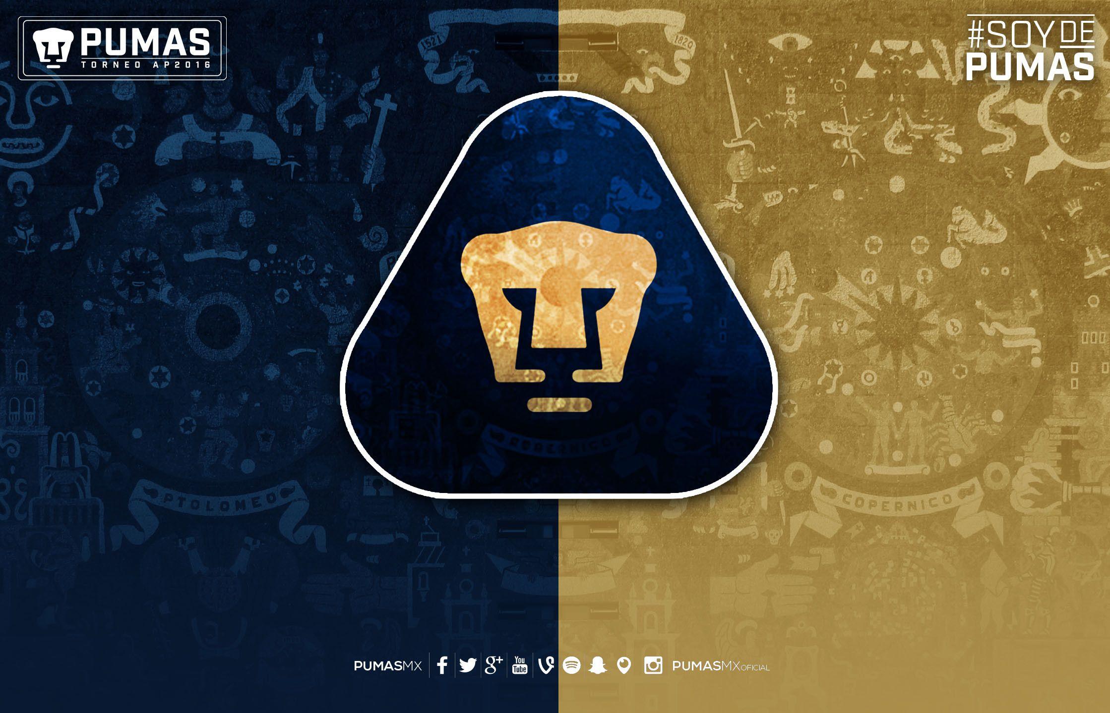 Pumas Wallpapers