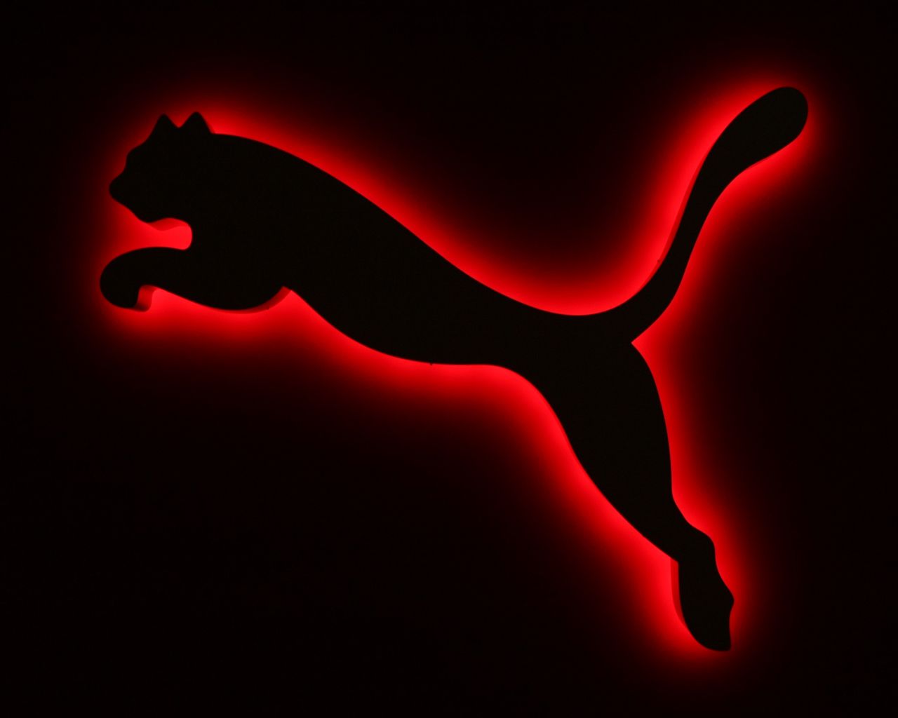 Pumas Wallpapers