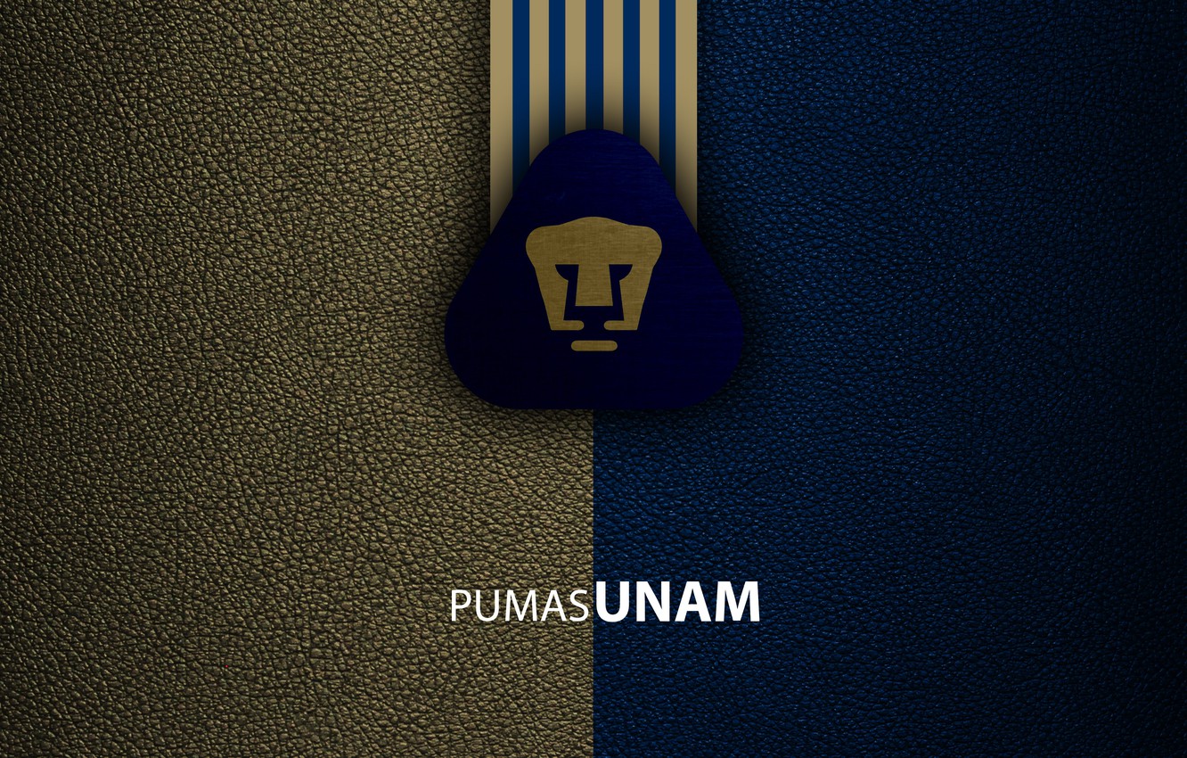 Pumas Wallpapers