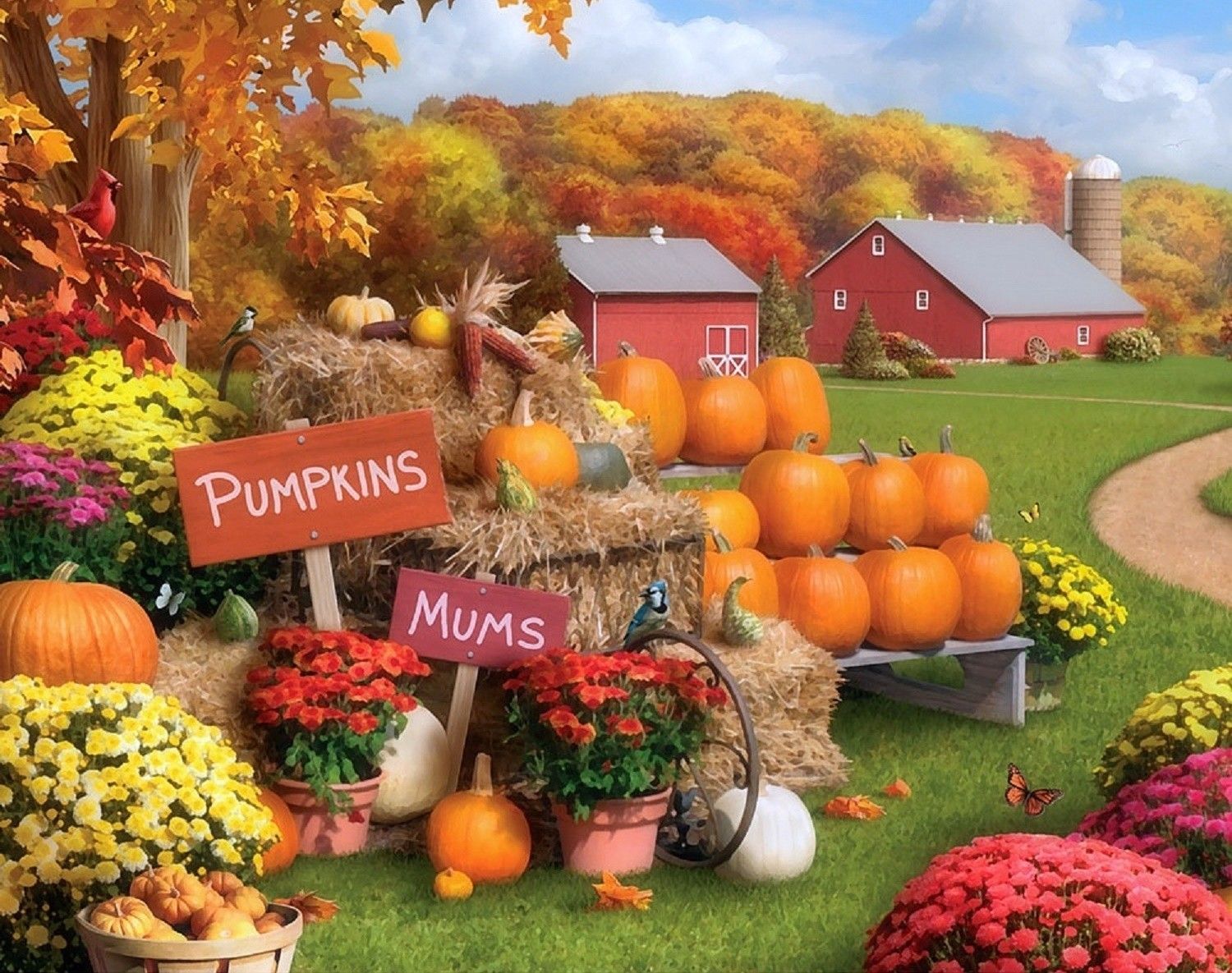 Pumpkins And Flowers Wallpapers