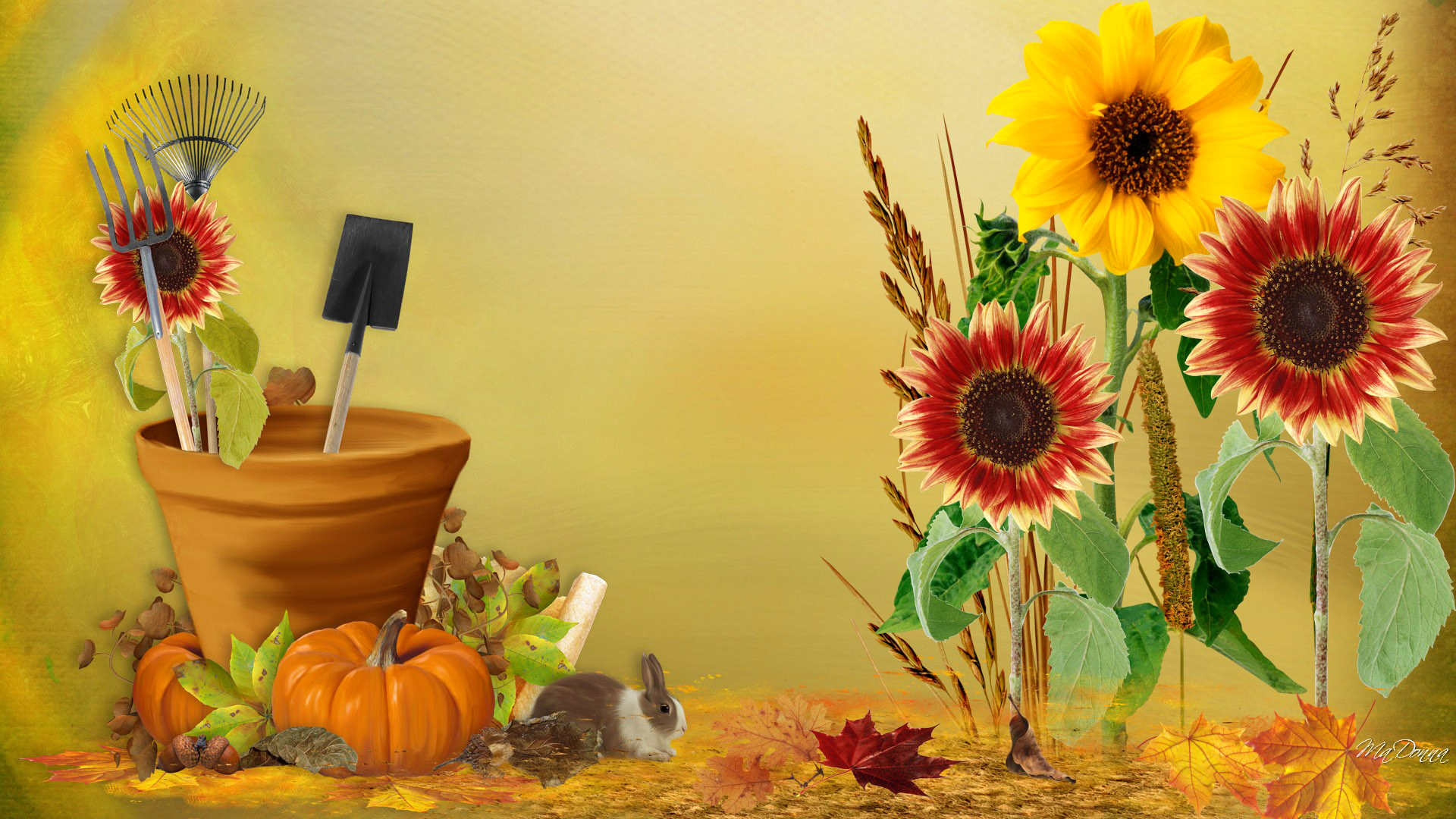 Pumpkins And Flowers Wallpapers