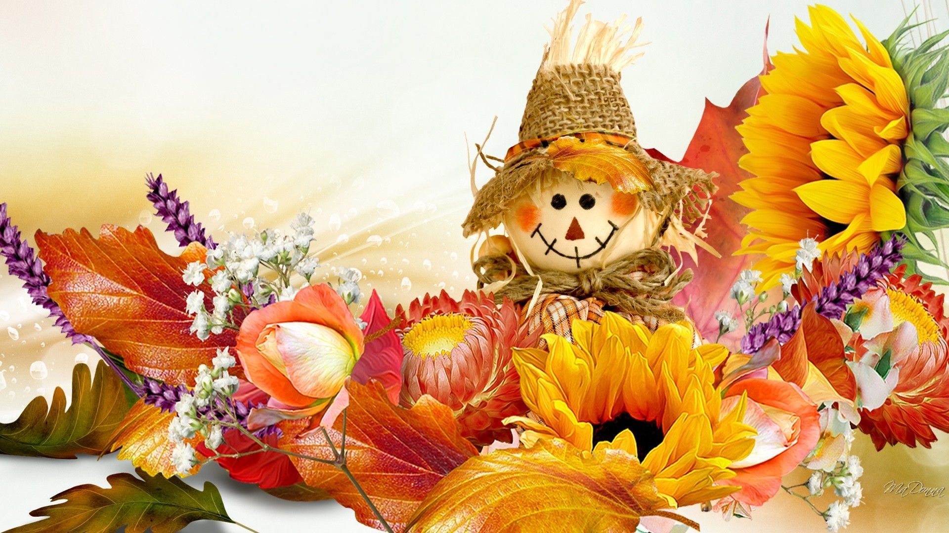 Pumpkins And Flowers Wallpapers