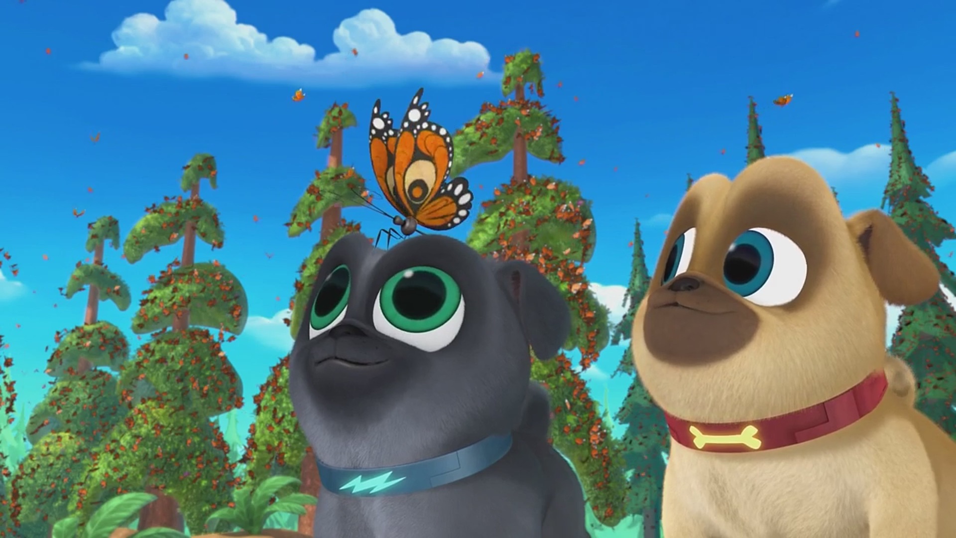 Puppy Dog Pals Wallpapers