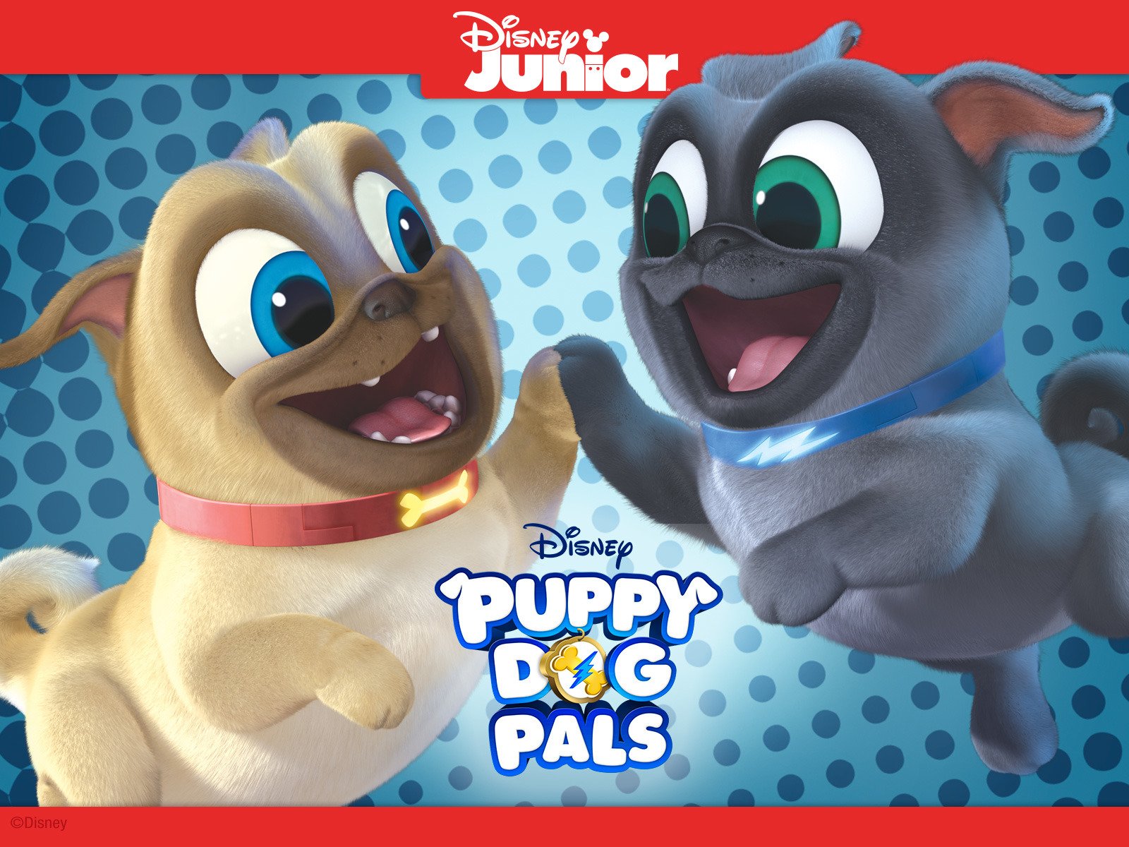 Puppy Dog Pals Wallpapers