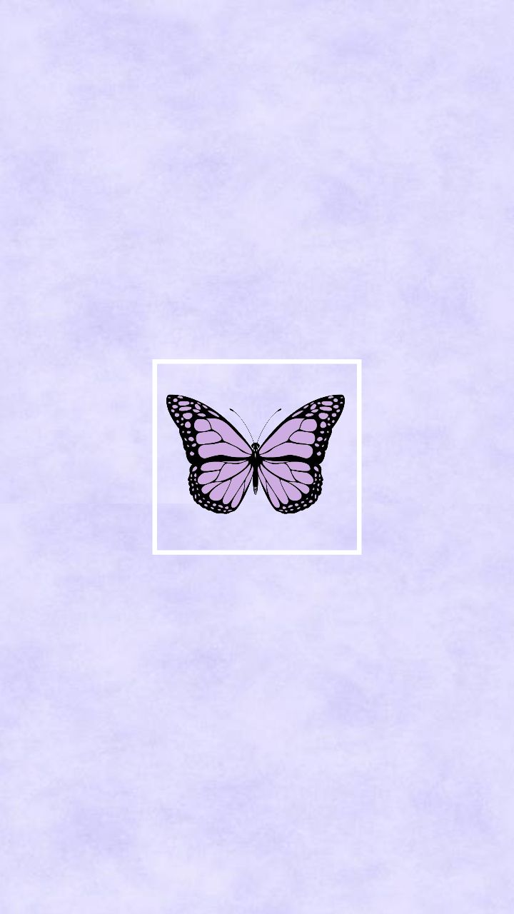Purple Butterfly Aesthetic Wallpapers