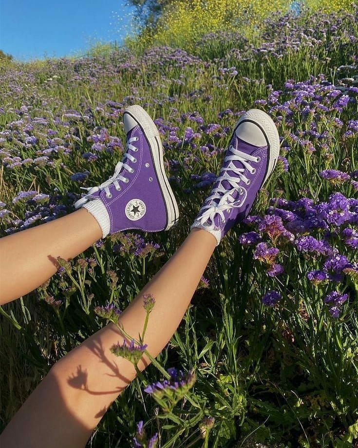 Purple Converse Aesthetic Wallpapers